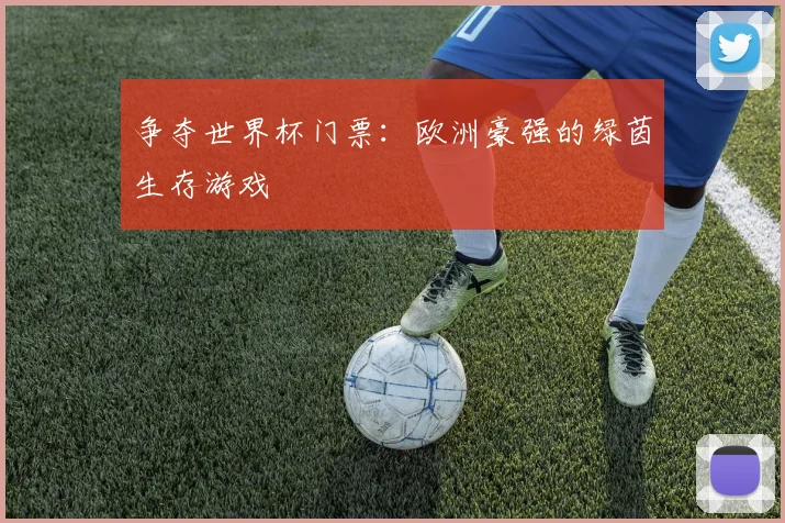 争夺世界杯门票：欧洲豪强的绿茵生存游戏