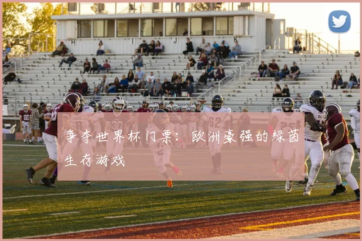 争夺世界杯门票：欧洲豪强的绿茵生存游戏