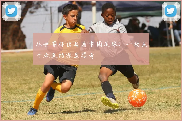 从世界杯出局看中国足球:一场关于未来的深度思考