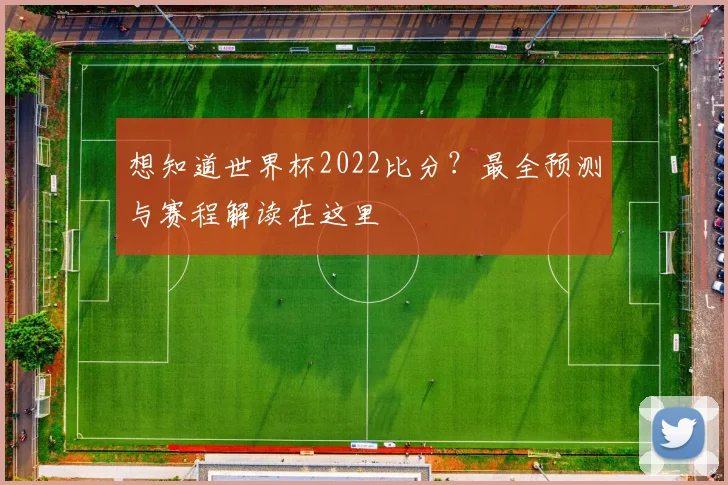 想知道世界杯2022比分?最全预测与赛程解读在这里