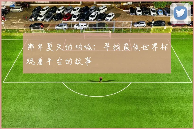 那年夏天的呐喊：寻找最佳世界杯观看平台的故事