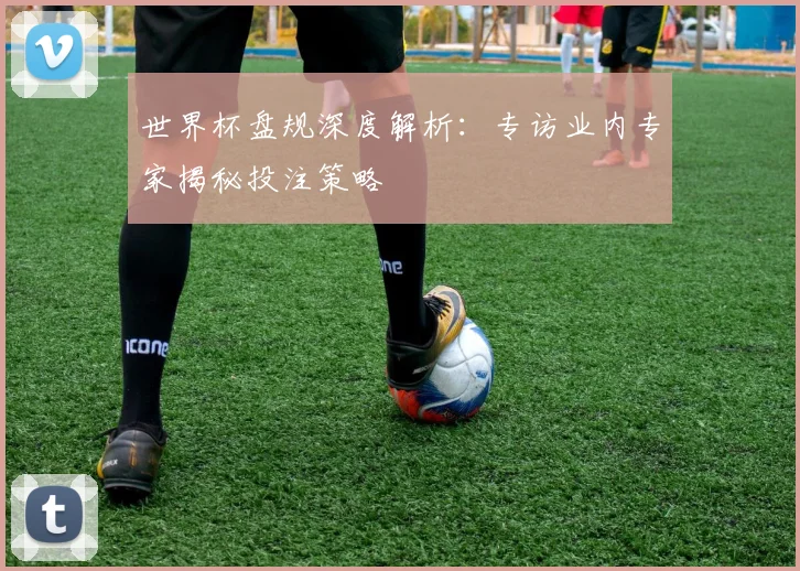 世界杯盘规深度解析：专访业内专家揭秘投注策略