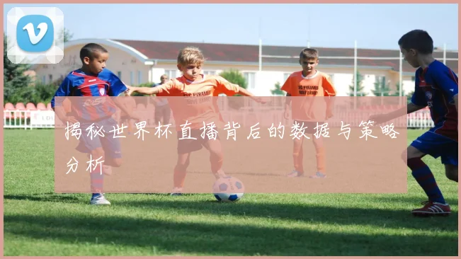 揭秘世界杯直播背后的数据与策略分析